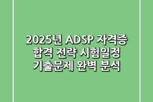 2025년 ADSP 자격증 합격 전략: 시험일정, 기출문제 완벽 분석