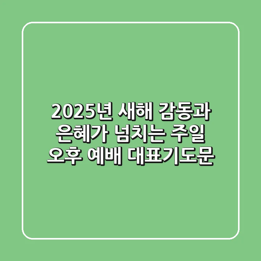 2025년 새해, 감동과 은혜가 넘치는 주일 오후 예배 대표기도문
