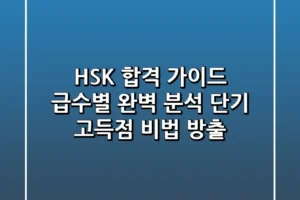 HSK 합격 가이드 급수별 완벽 분석 단기 고득점 비법 방출