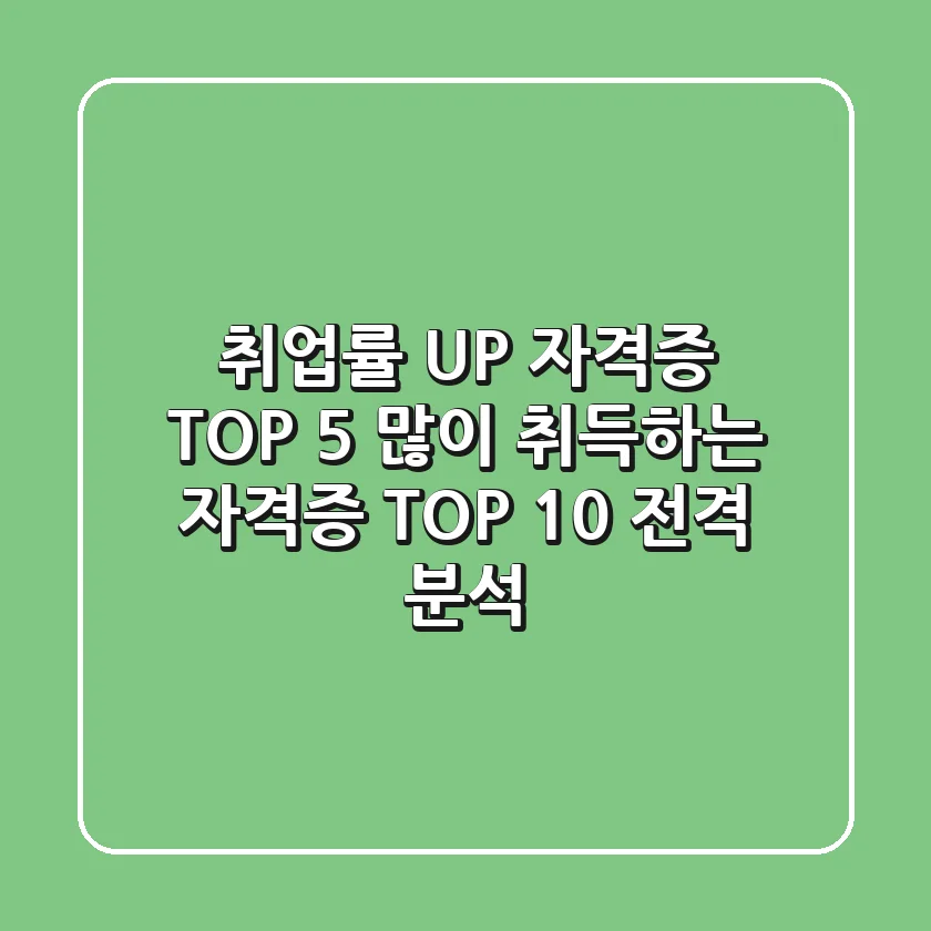 취업률 UP! 자격증 TOP 5 & 많이 취득하는 자격증 TOP 10 전격 분석