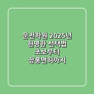 운전학원, 2025년 현명한 선택법: 초보부터 장롱면허까지!