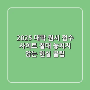 2025 대학 원서 접수 사이트, 절대 놓치지 않는 현실 꿀팁