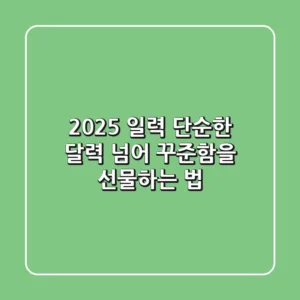 2025 일력, 단순한 달력 넘어 꾸준함을 선물하는 법