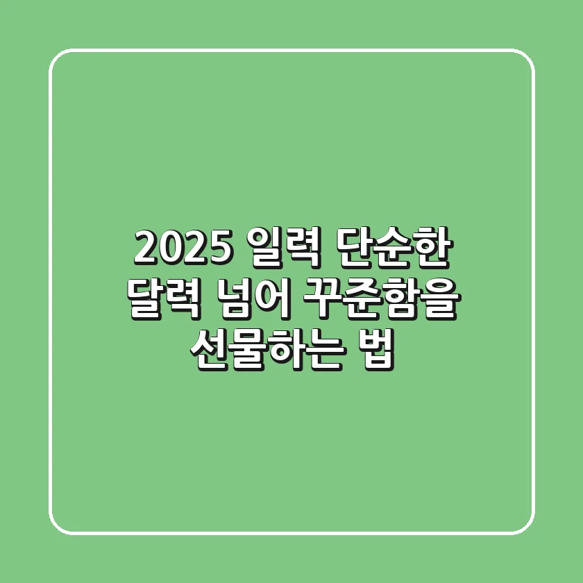 2025 일력, 단순한 달력 넘어 꾸준함을 선물하는 법
