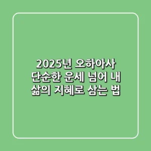 2025년 오하아사, 단순한 운세 넘어 내 삶의 지혜로 삼는 법