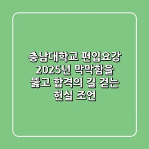 충남대학교 편입요강 2025년, 막막함을 뚫고 합격의 길 걷는 현실 조언