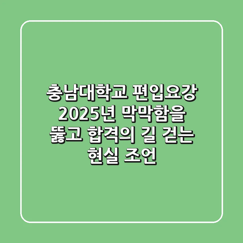 충남대학교 편입요강 2025년, 막막함을 뚫고 합격의 길 걷는 현실 조언