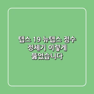 텝스 19: 뉴텝스 점수 정체기, 이렇게 뚫었습니다!