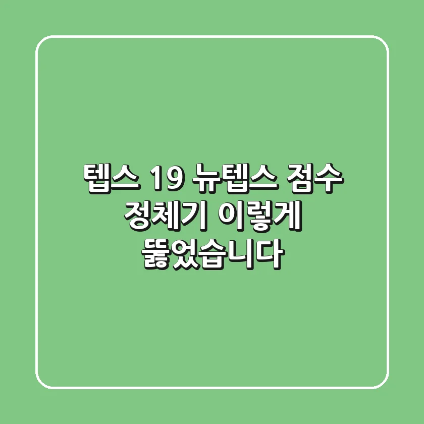 텝스 19: 뉴텝스 점수 정체기, 이렇게 뚫었습니다!