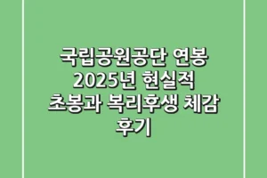 국립공원공단 연봉 2025년, 현실적 초봉과 복리후생 체감 후기