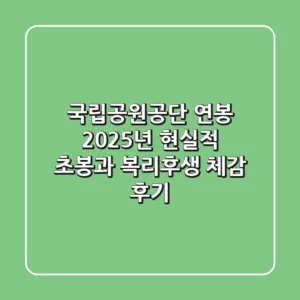 국립공원공단 연봉 2025년, 현실적 초봉과 복리후생 체감 후기