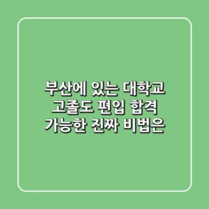 부산에 있는 대학교, 고졸도 편입 합격 가능한 진짜 비법은?