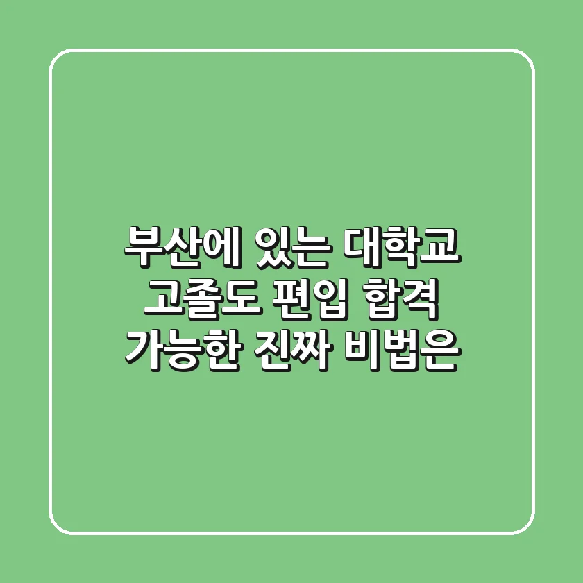 부산에 있는 대학교, 고졸도 편입 합격 가능한 진짜 비법은?