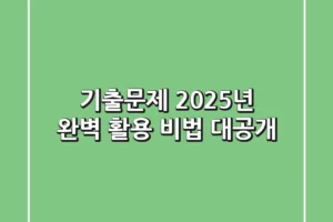 기출문제, 2025년 완벽 활용 비법 대공개