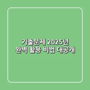 기출문제, 2025년 완벽 활용 비법 대공개