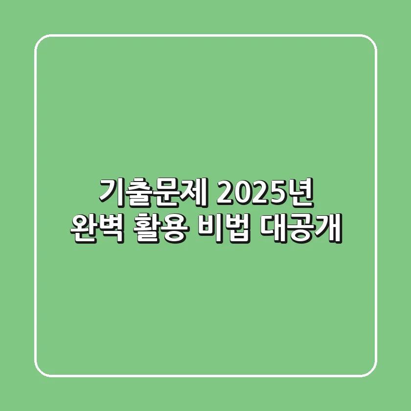 기출문제, 2025년 완벽 활용 비법 대공개