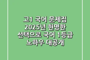 고1 국어 문제집, 2025년 현명한 선택으로 국어 1등급 노하우 대공개