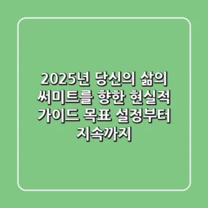 2025년, 당신의 삶의 '써미트'를 향한 현실적 가이드: 목표 설정부터 지속까지