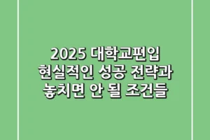 2025 대학교편입, 현실적인 성공 전략과 놓치면 안 될 조건들